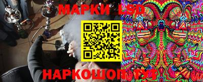 a pvp Краснознаменск
