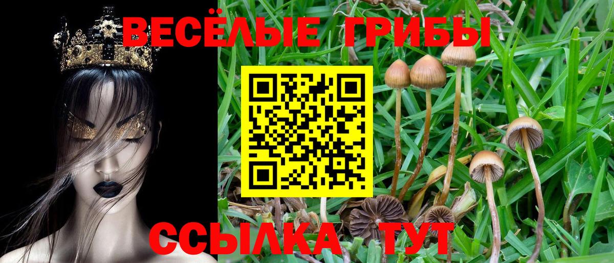 Галлюциногенные грибы Magic Shrooms Кировск